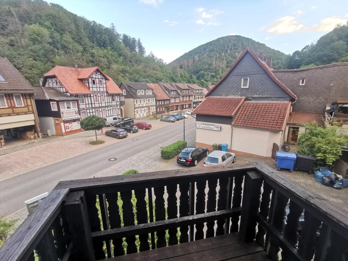 Hotel And Restaurant Bergschloesschen Zorge Eksteriør billede