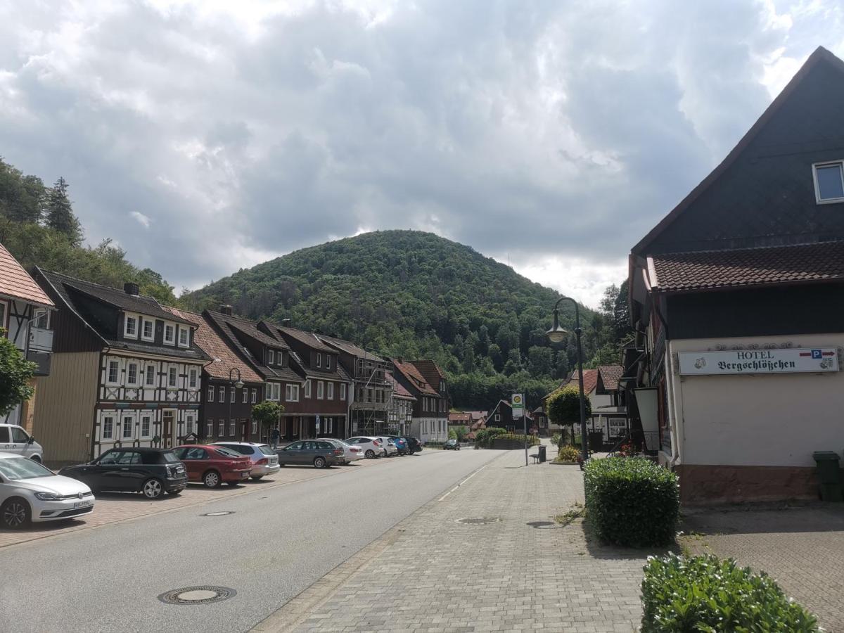 Hotel And Restaurant Bergschloesschen Zorge Eksteriør billede
