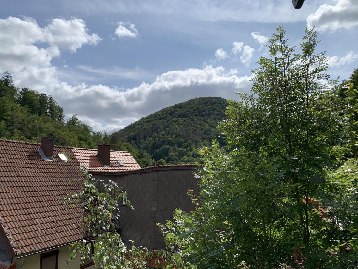 Hotel And Restaurant Bergschloesschen Zorge Eksteriør billede
